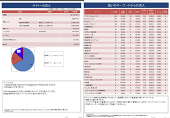 実際の解析書例